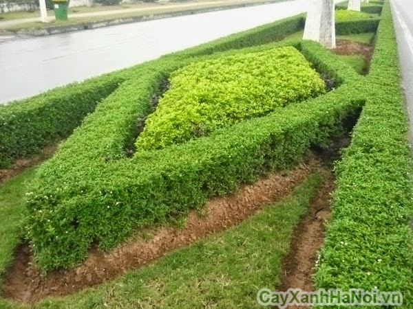 tham chuoi ngoc 03